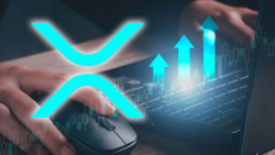 XRP Now Second Most Traded Asset on KuCoin After Bitcoin (BTC): Details