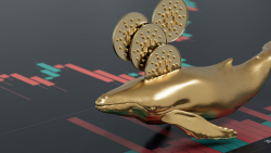 Cardano (ADA) Whales Now Control Only 8% of Coin's Supply