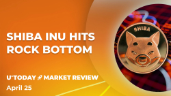 Shiba Inu (SHIB) Trading Volume Hits Rock Bottom, What's Next? 
