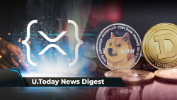 XRPL Accelerator Program Launches, 37 Billion DOGE at Risk If Price Drops to This Level, BONE Achieves Listing on Major Asian Exchange: Crypto News Digest by U.Today
