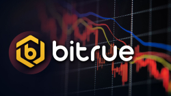 SHIB, MATIC, GALA Wallet Exploit: Bitrue Shares Important Update With Users