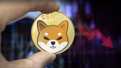 Shiba Inu (SHIB) Might Plummet to $0.000009 Level, Here's Why