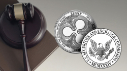 Ripple Provides Insight into XRP-SEC Legal Battle in Latest Update