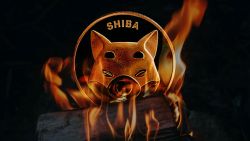 Shiba Inu Burn Rate Plummets With Only 22 Million SHIB Burned in Week