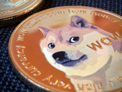 Robinhood's Dogecoin Stash Faces Slight Decline but Billions of USD in DOGE Still Held There