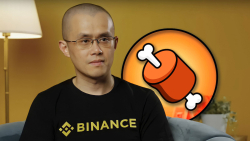 Is Shiba Inu's BONE Going to Be Listed on Binance? CEO CZ Speaks on Meme Coin Listing