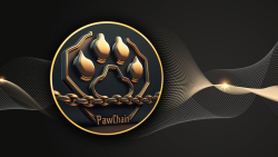 Paw Chain Team Building PAW Layer 2 Wallet: Details