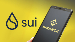 SUI Price Drops 70% as SUI Trading Kicked off on Binance