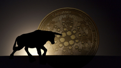ADA Price Finds Support as Bulls Take Edge in Cardano