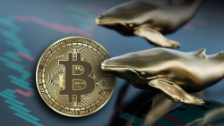 Bitcoin (BTC) Whales Just Drove $240 Million Away From Exchanges