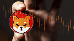 Shiba Inu (SHIB) Plummeted by 8%, Could It Spark New Rally?