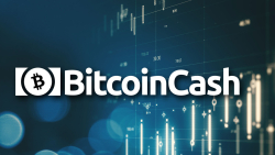Bitcoin Cash (BCH) up 8%, Is This Growth Connected to Bitcoin?