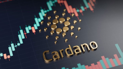 Cardano (ADA) Investors Lose Big as 80% Out of Money