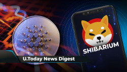 ADA Investors Lose Big as 80% out of Money, Shibarium Presents Updates for SHIB Army, BONE Trading Launches on This Crypto Platform: Crypto News Digest by U.Today