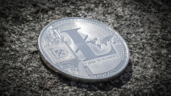 Litecoin Rocks Ahead of Upcoming LTC Halving, Here's What's Happening