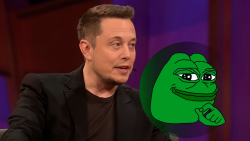Elon Musk's New Meme Tweet Pushes PEPE 54% Up, Whales Buy Trillions of PEPE