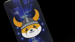 Floki (FLOKI) Secures Three New Exchange Listings, Price Reacts