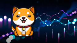 BabyDoge Ready to Soar as 0% Implementation Fee Feature Goes Live: Details