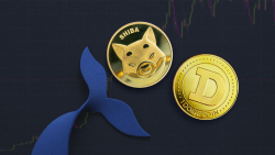 Fifth Largest Shiba Inu (SHIB) and Dogecoin (DOGE) Whale Is Same Person: Here's Who