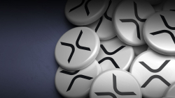 We're Starting to Grow Our XRP Custodian Business: PolySign CEO
