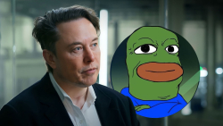 Elon Musk's Tweet Sends BOB up 43%: Here's What You Missed