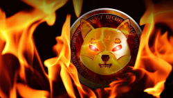 'Diabolic Burns' of SHIB Take Place as Burn Rate Jumps 666%: Details