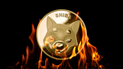 Shibarium Reveals SHIB Burn Mechanism, Thrilling Shiba Inu Community