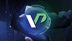 VardexPay Introduces Electronic Wallet for Crypto and Fiat Assets