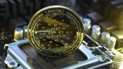 Major Cardano (ADA) Accumulation Spotted Among Large Holders