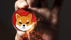 SHIB Burn Figure Jumps 2,372% as Shiba Inu Price Begins to Revive