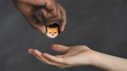 Shiba Inu (SHIB) to Give Away Wallets Ahead of Preorder Date