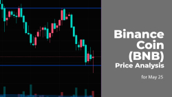 Binance Coin (BNB) Price Analysis for May 25