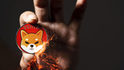 Popular SHIB Burn Tracker's Update Coming, Here's What's Good for SHIB Army