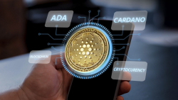 Key Things About Cardano (ADA) Right Now