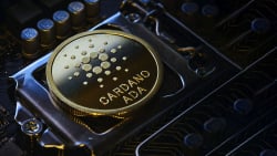 This Tool to Help You Stake Cardano (ADA) in 50 Pools: See Concept