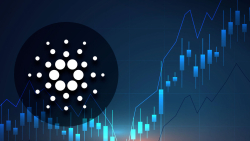 Cardano Network Blossoms as DeFi Volume Hits Enormous Values