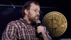 Cardano's Hoskinson Shares His Take on Bitcoin Ordinals