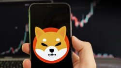 Shiba Inu (SHIB) Sees Jaw-Dropping Activity Spike as 2,538 Addresses Created in Day