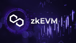 Polygon zkEVM Broke New Records as It Focuses on Liquidity: Details