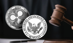 XRP-Supporting Lawyer Questions Ripple Case Timeline