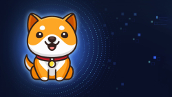 Shiba Inu Competitor BabyDoge Just Got Listed on This Crypto Exchange  