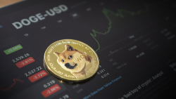 Whopping 8.779 Billion DOGE Moved, Here&#039;s What Happens to Price