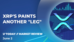 XRP Ready for Another Leg Up, Data Shows