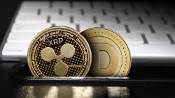 XRP, Dogecoin (DOGE) Prices Jump, Here's What Led Significantly to Market Recovery