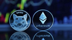 Major Trader Snaps up Shiba Inu (SHIB) and Ethereum (ETH) Dips With Millions of Dollars