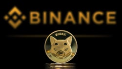 4 Trillion Shiba Inu (SHIB) Moved to Binance, What's Happening?