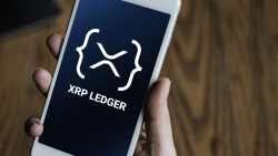 Ripple CTO Reveals Strategic Shift and Vision for XRP Ledger