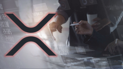 XRP Price Trap Alert: Analyst Issues Warning