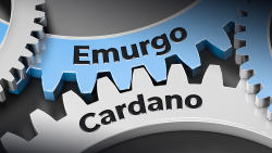 Cardano Developer Maestro Secures EMURGO Funding