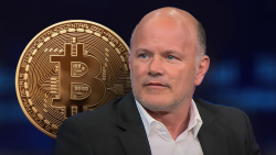 This Would Be Best Thing Ever for Bitcoin, Mike Novogratz Claims 
